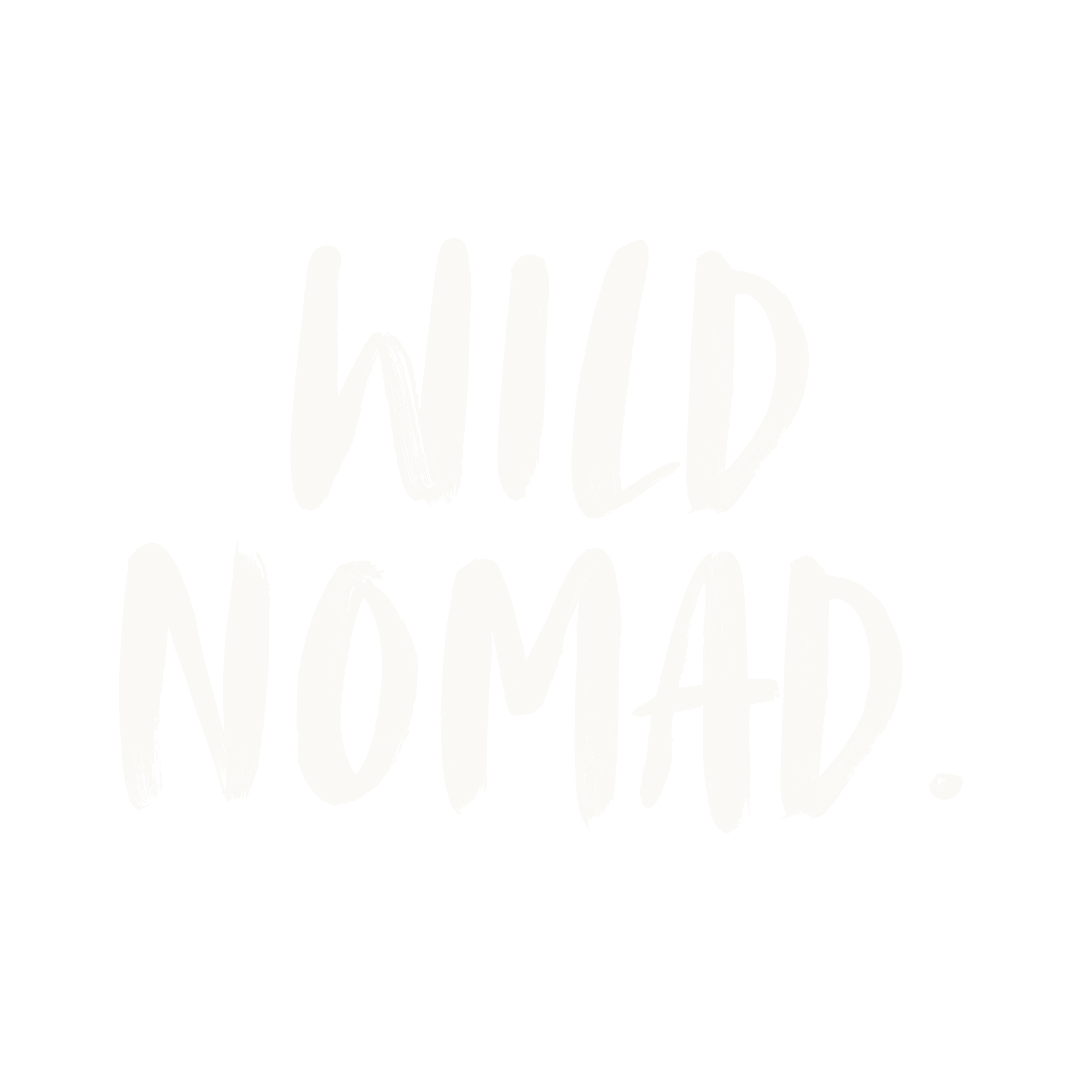 WILD NOMAD.